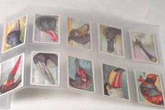 Vintage "Curious Beaks" Bird Tobacco Cards - Full Set