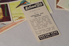 Miscellaneous Vintage Bird Collectible Tobacco Cards