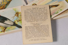 "Useful Birds of America" Vintage Collectible Tobacco Cards