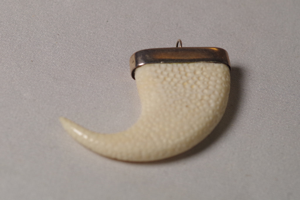 Bold Sterling Silver Claw Pendant