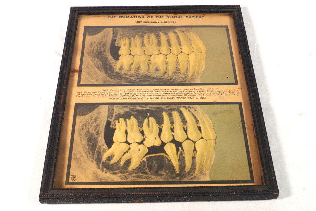 Vintage "The Education of the Dental Patient" Wall Art