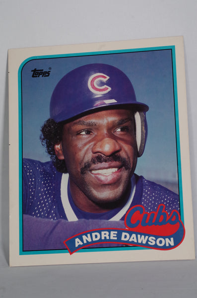  1989 Topps Baseball Card #391 Andre Dawson Mint : Collectibles  & Fine Art