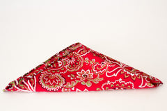 Handsome Red, Green, White and Black Paisley Rayon Pocket Square by Put This On