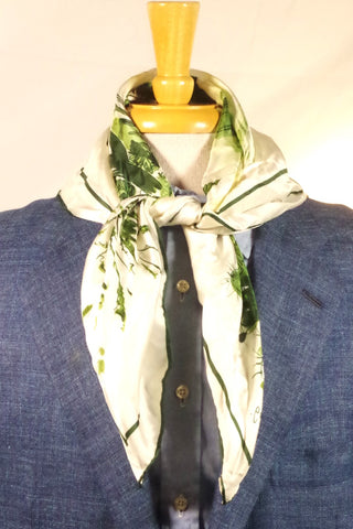 Botanical Camelback Mountain Phoenix Silk Scarf