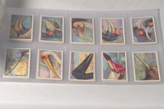 Vintage "Curious Beaks" Bird Tobacco Cards - Full Set