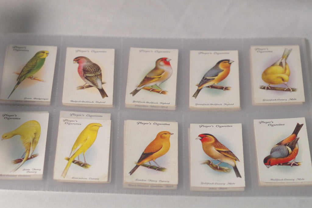 birds of a feather tobacco series Whimsical Plug 70Cigars Birds of a feather Aberrant