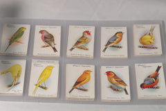 Vintage "Aviary and Cage Birds" Tobacco Cards - Full Set