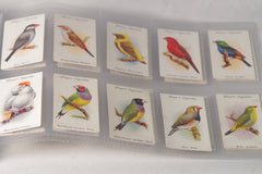 Vintage "Aviary and Cage Birds" Tobacco Cards - Full Set