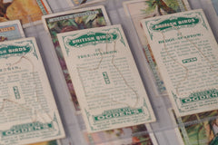 Ogden's Cigarettes Vintage "British Birds" Punch-Out Tobacco Cards