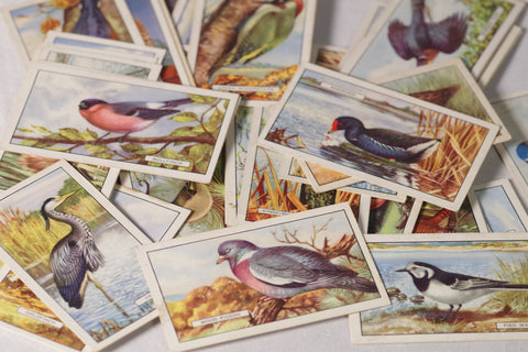 Vintage "British Birds" Collectible Tobacco Cards