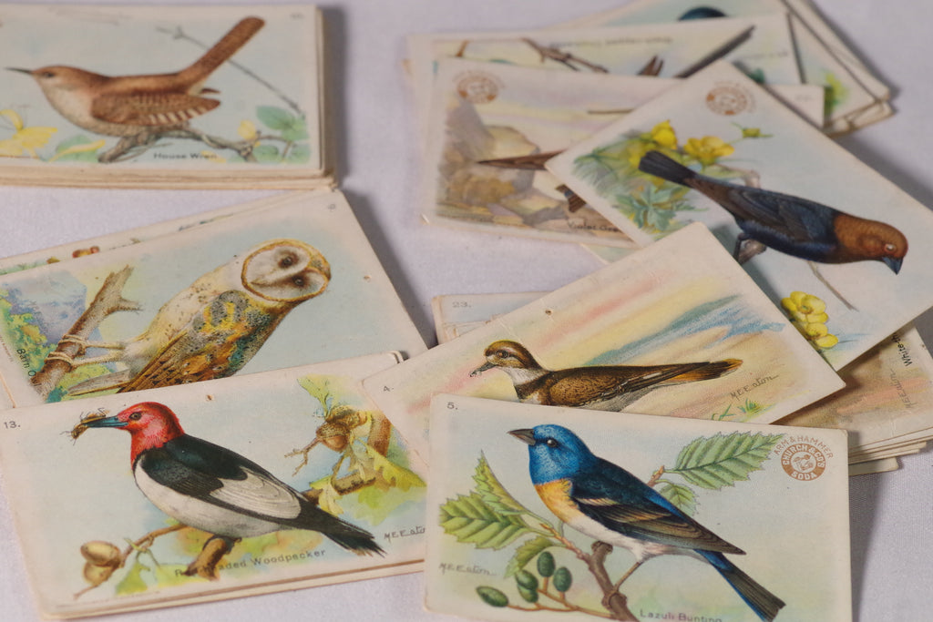 collectible cigarette cards collectible cigarette cards