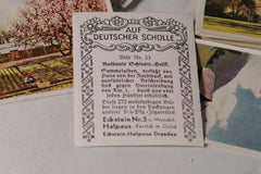 German Vintage "Auf Deutscher Scholle" Collectible Tobacco Cards