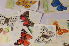 Vintage German Butterfly Collectible Tobacco Cards