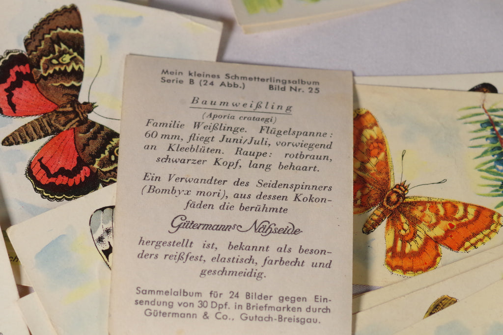 butterfly tobacco Vintage German Butterfly Collectible Tobacco Cards butterfly tobacco Vintage German Butterfly Collectible Tobacco Cards