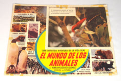 1960s and '70s Mexican Movie Lobby Card Posters