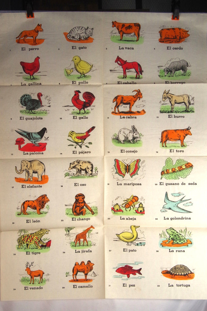 Large Vintage Mexican Animal Poster