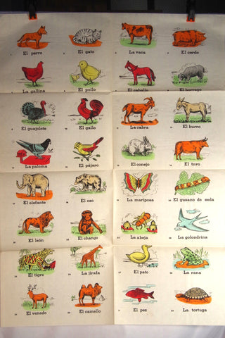 Large Vintage Mexican Animal Poster