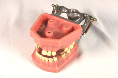Spooky Vintage Working Dental Model Sculpture
