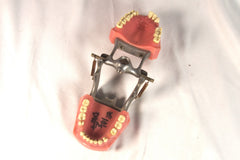 Spooky Vintage Working Dental Model Sculpture
