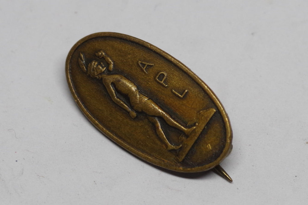 Vintage Oval Native American APL Pin