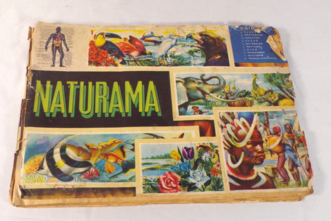 1966 "Naturama" Illustrated Mexican Children's Nature Collection Educational Book