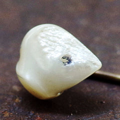 14k Gold Edwardian Spotted Tooth Stick Pin