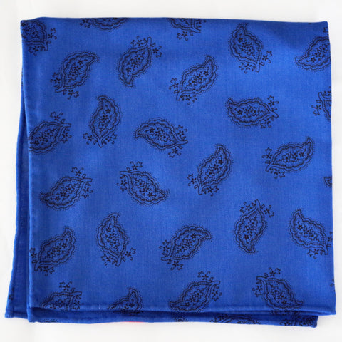 Rich Blue and Black Paisley Rayon Pocket Square by Put This On