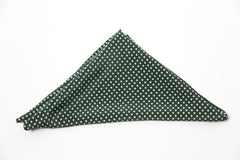 Delightful Green Polka Dot Silk Pocket Square by Put This On