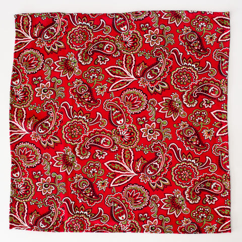 Handsome Red, Green, White and Black Paisley Rayon Pocket Square by Put This On